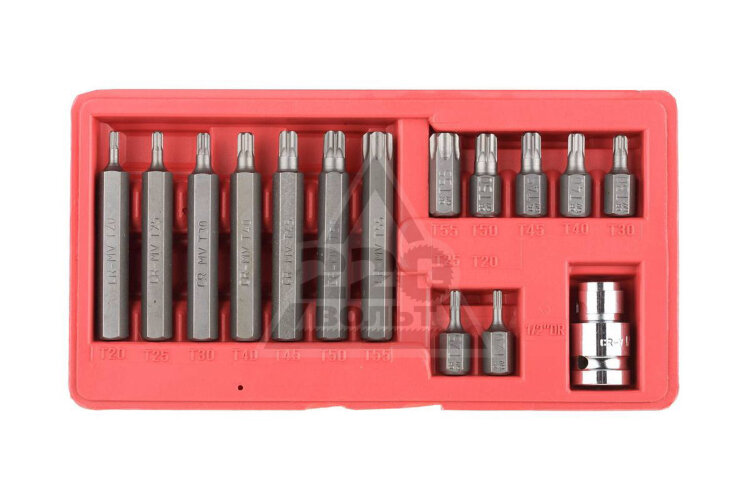 2651-H15_z01. Набор бит TORX "ЭКСПЕРТ" 15 предметов, пластиковый бокс, ЗУБР